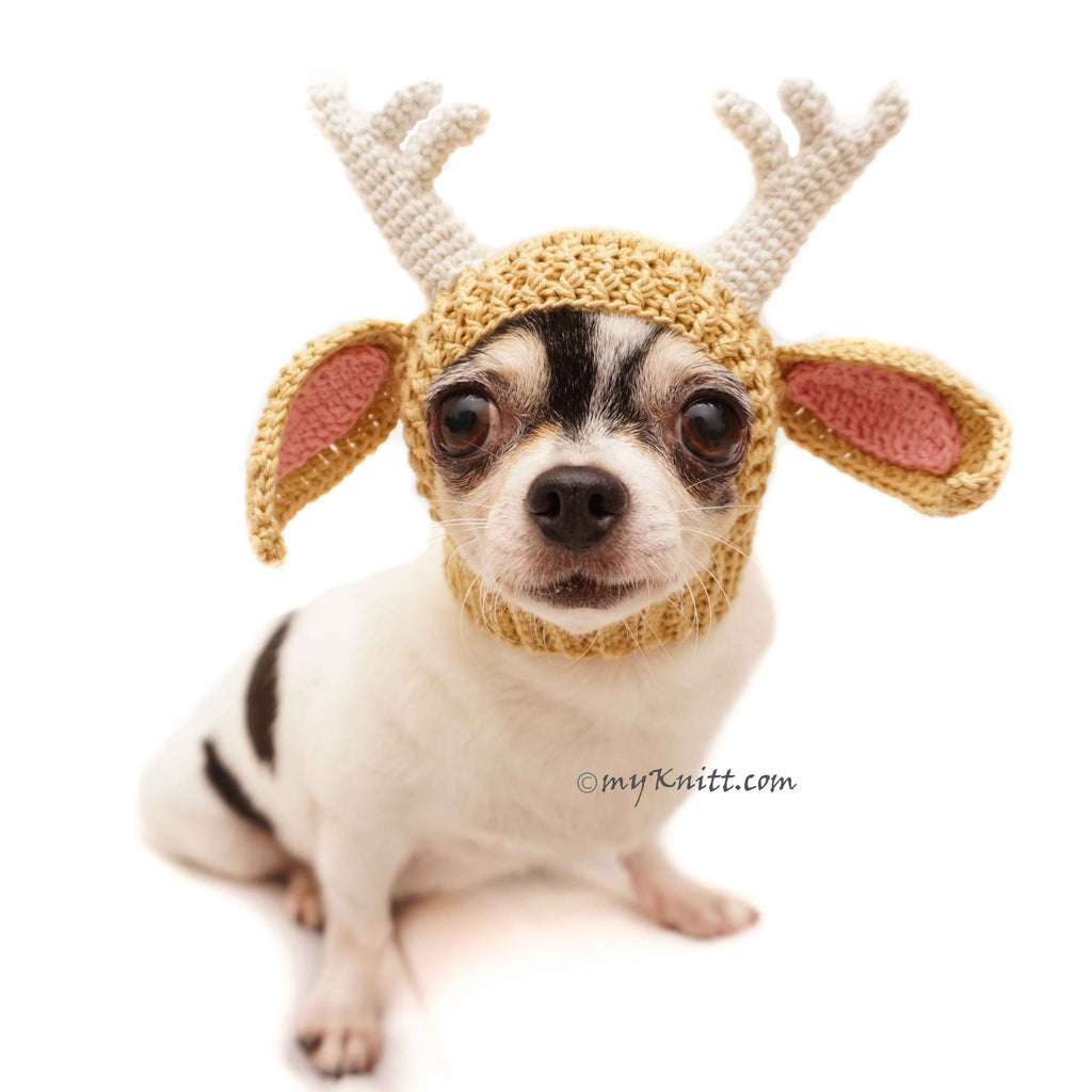 Reindeer Dog Hats, Cat Hats, Crochet Dog Hat, Dog Birthday Hat DB6