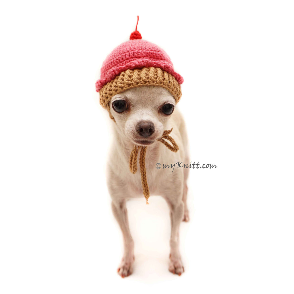 Cupcake Dog Hat Crochet, Funny Dog Costume DB9