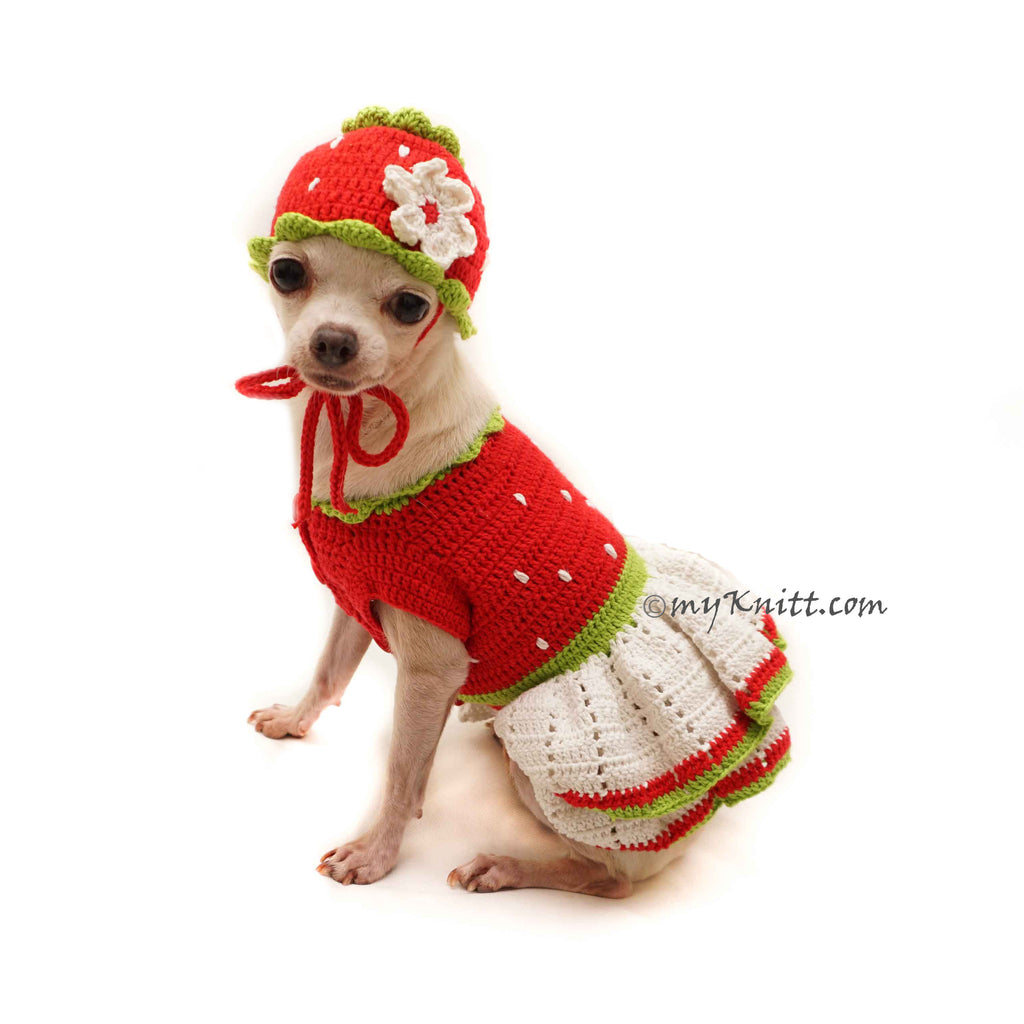 Strawberry Shortcake Dog Costume, Strawberry Dog Hat Crochet DF128