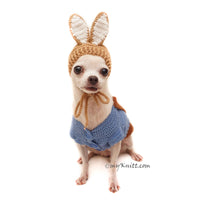 Peter Rabbit Pet Costume, Rabbit Bunny Dog Costume Dog Hat DF149 Myknitt