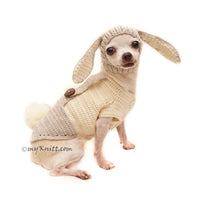 Peter Rabbit Dog Hat, Peter Rabbit Pet Costume Halloween by Myknitt