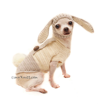 Peter Rabbit Dog Hat, Peter Rabbit Pet Costume Halloween by Myknitt