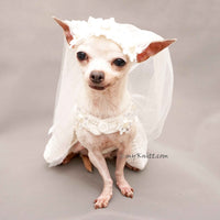 Dog Wedding Dress with Veil, Pet Wedding Ring Bearer Df166 by Myknitt