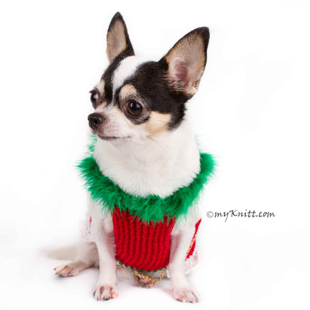 Christmas Tree Chihuahua Sweater with D Ring, Knitted Dog Clothes DF4 by Myknitt (3)