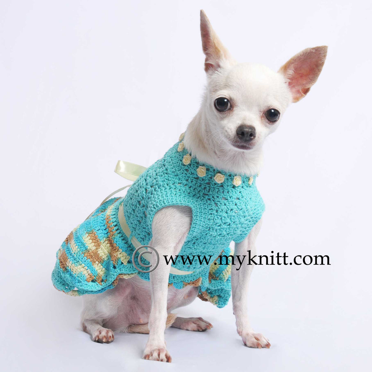 crochet dress for dogs Matching doggie dresses for my puppies! Accessorized with collars made by a friend whom I taught how to crochet. So proud of her!! : r/crochet