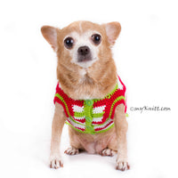Casual Christmas Dog Clothes Red Green White Wavy Crochet DF79 by Myknitt (1)