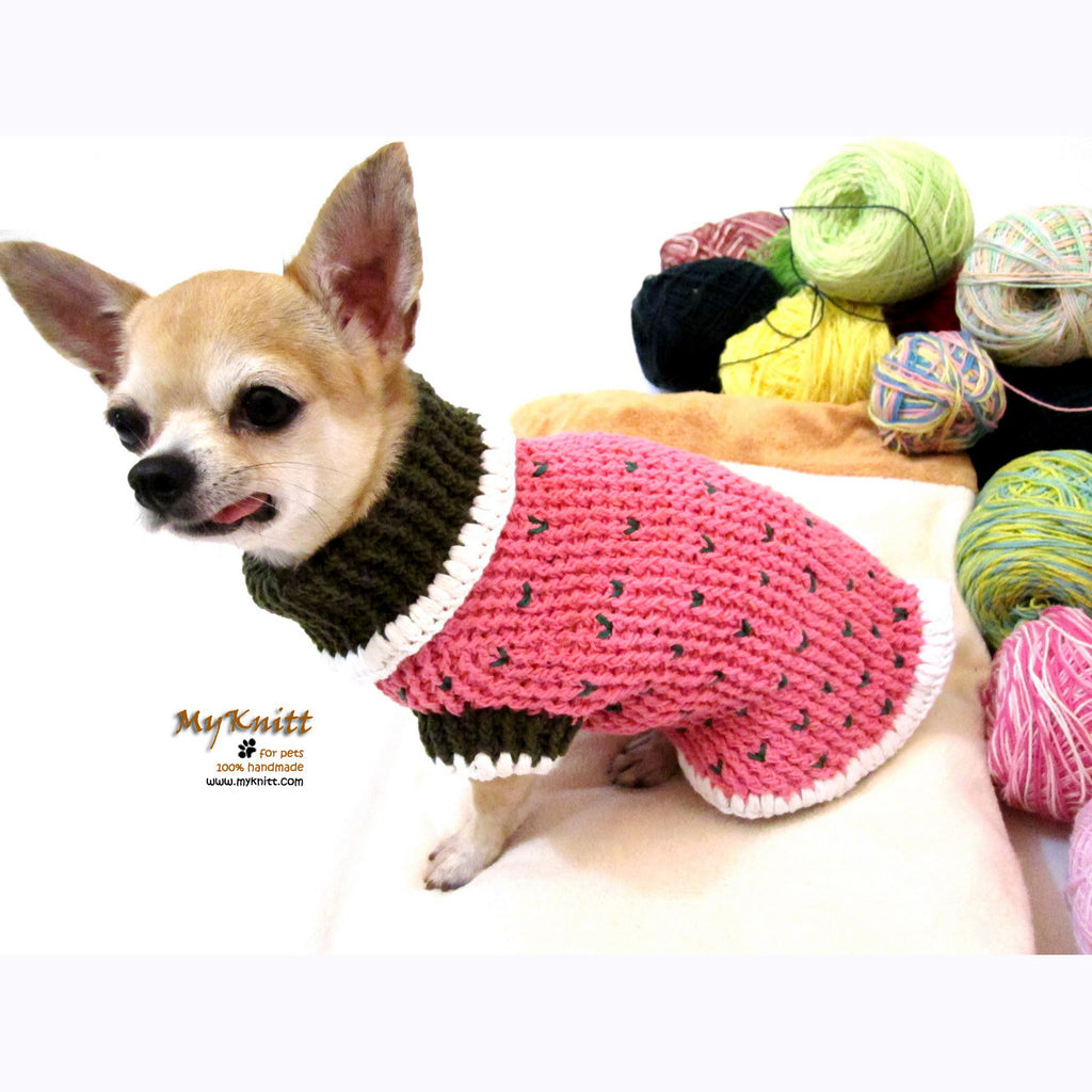 Strawberry Shortcake Crocheted Dog Sweater DK861