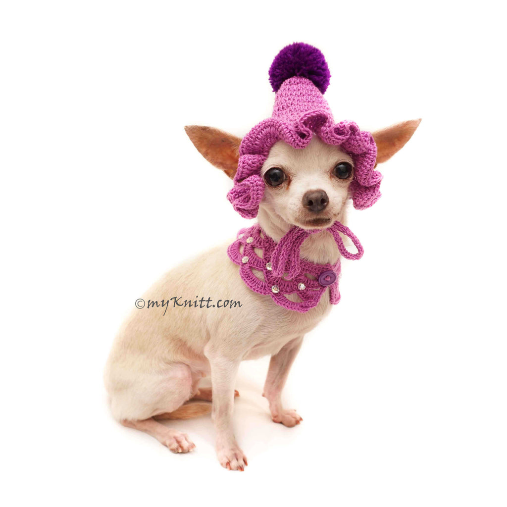 Purple Dog Bandanna Crochet, Purple Dog Hat Crochet with Dog Shawl Crochet DN25