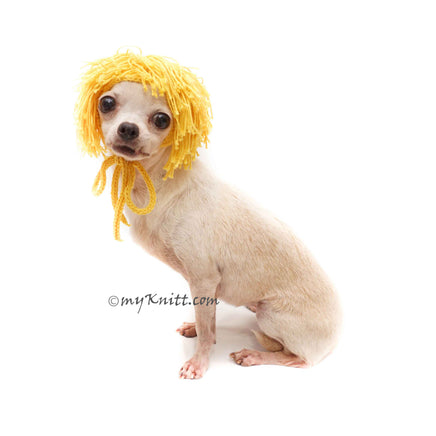 blonde hair dog hat, Pet photo props, Pet wig crochet
