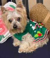 Christmas dog dress snowman crochet, yorkshire clothes custom