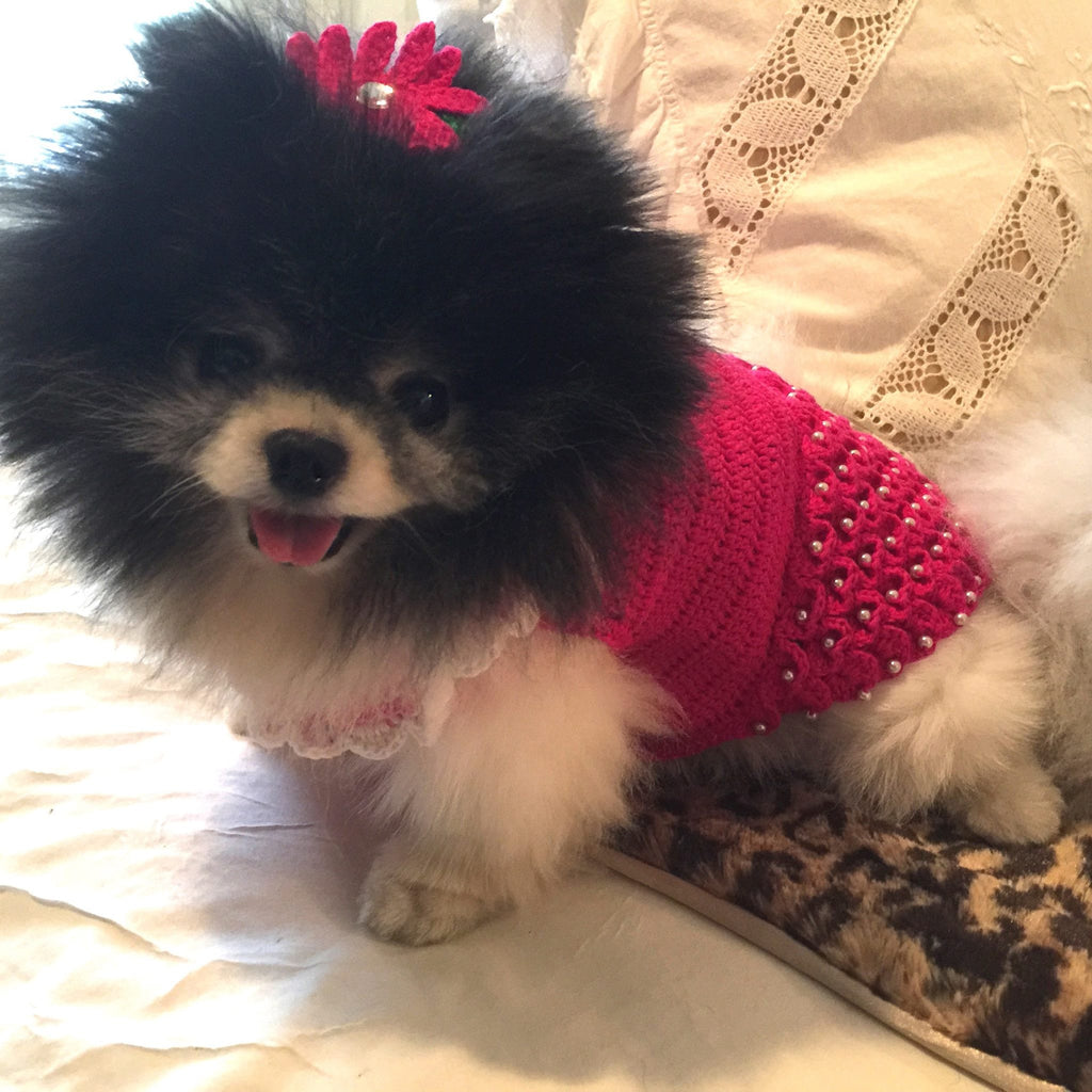 Pic Posts from Shanna Olson Ms California 2014 for Myknitt Dog Clothes