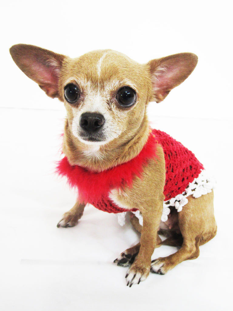 Red Christmas Dog Dress DF10