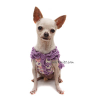 cute chihuahua dress custom by Myknitt