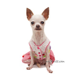 Teddy Balloon Cute Dog Dress DF284 Myknitt