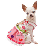 Teddy Balloon Cute Dog Dress DF284 Myknitt