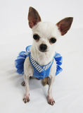 Blue Tutu Dog Dress DF2