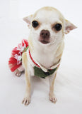 Christmas Dog Dress Tutu Red Green DF9