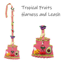 Colorful tropical fruits harness and leash set on a white background