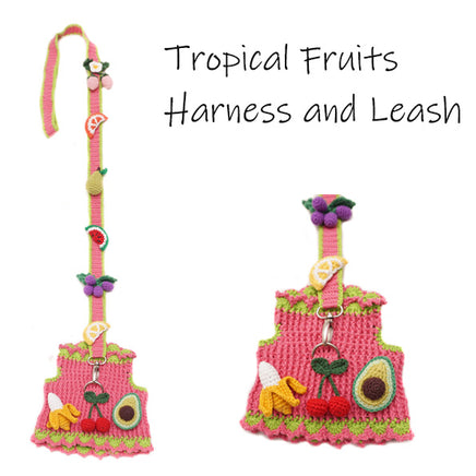 Colorful tropical fruits harness and leash set on a white background