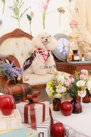 Black Country Christmas Teddy Bear Dress RM16 Royal Myknitt