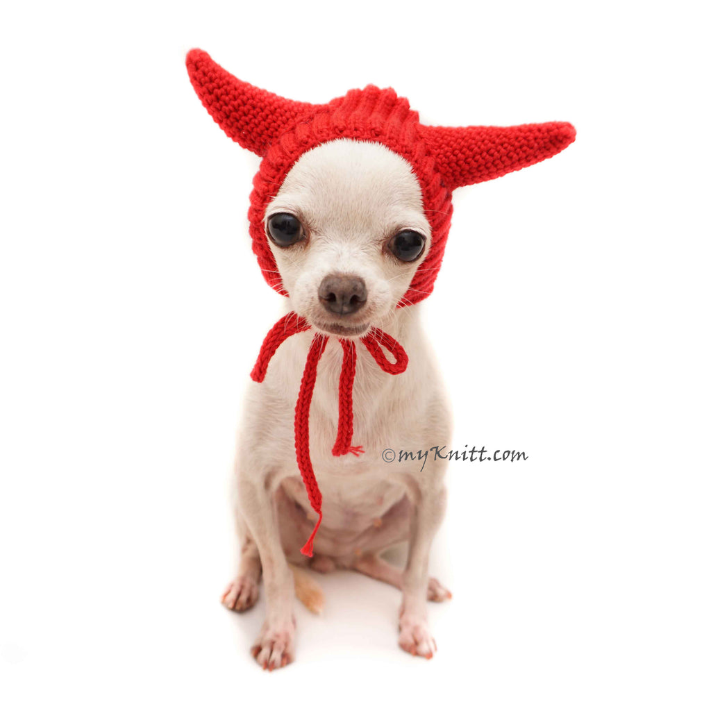 Red Devil Horns, Halloween Dog Costume, Chihuahua Hat DB10