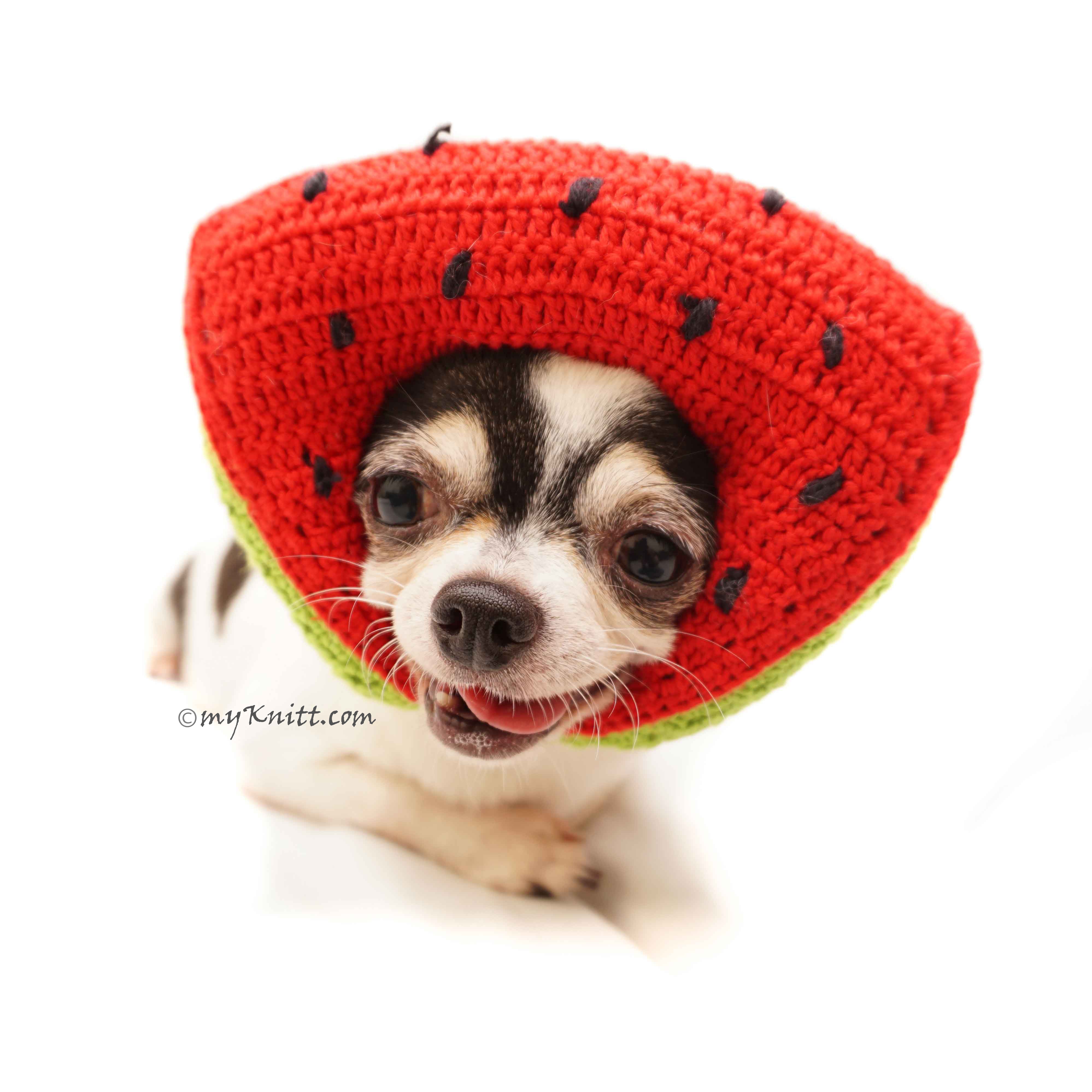 Watermelon Amigurumi Dog Toy Crochet, Watermelon Dog Hat Crochet DB11 by Myknitt