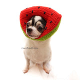 Watermelon Dog Toy Crochet, Watermelon Pet Photo Props 