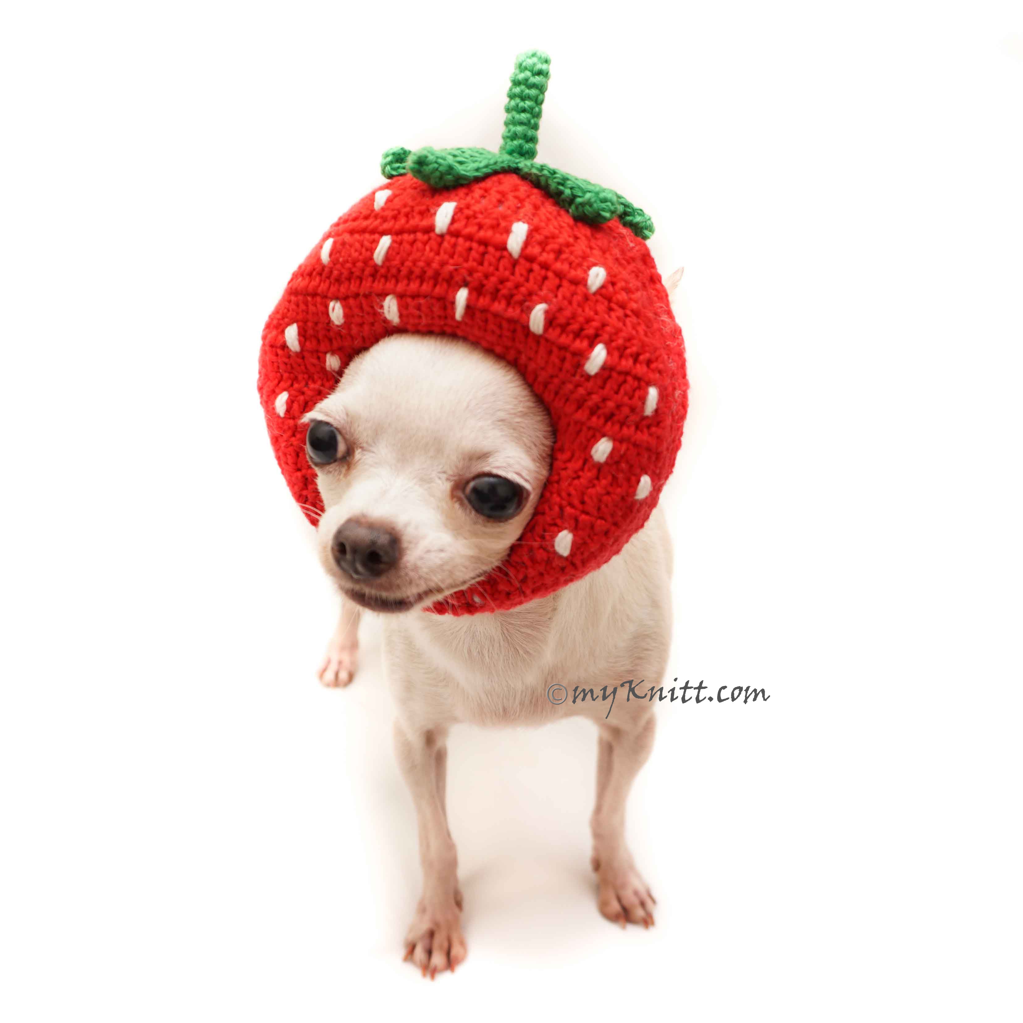 Strawberry Dog Hat Crochet, Strawberry Amigurumi Dog Toy DB12 by Myknitt 
