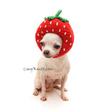 Strawberry Dog Hat Crochet by Myknitt