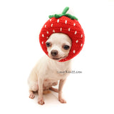 Funny Chihuahua Picture Strawberry Dog Hat Crochet by Myknitt 