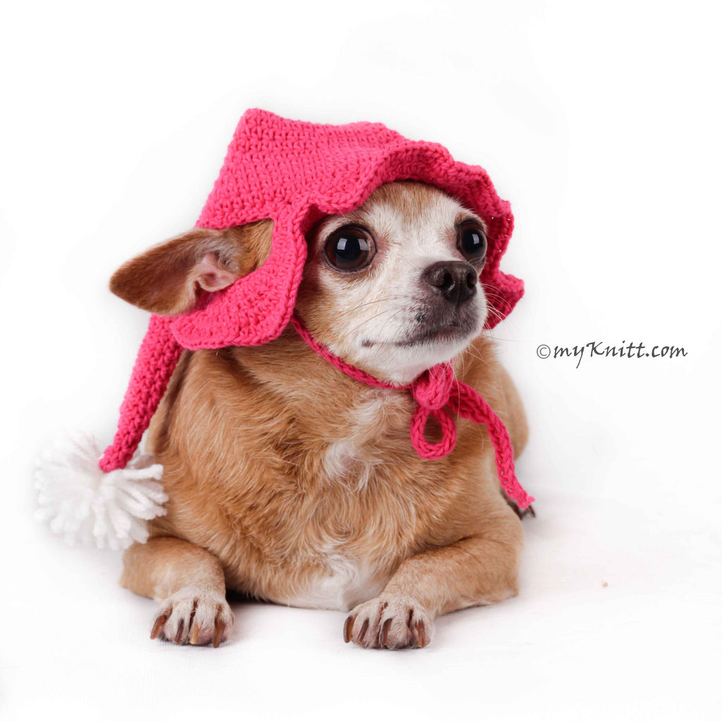 Crochet Dog Hat, Pom Pom Dog Hat, Custom Dog Hat DB2