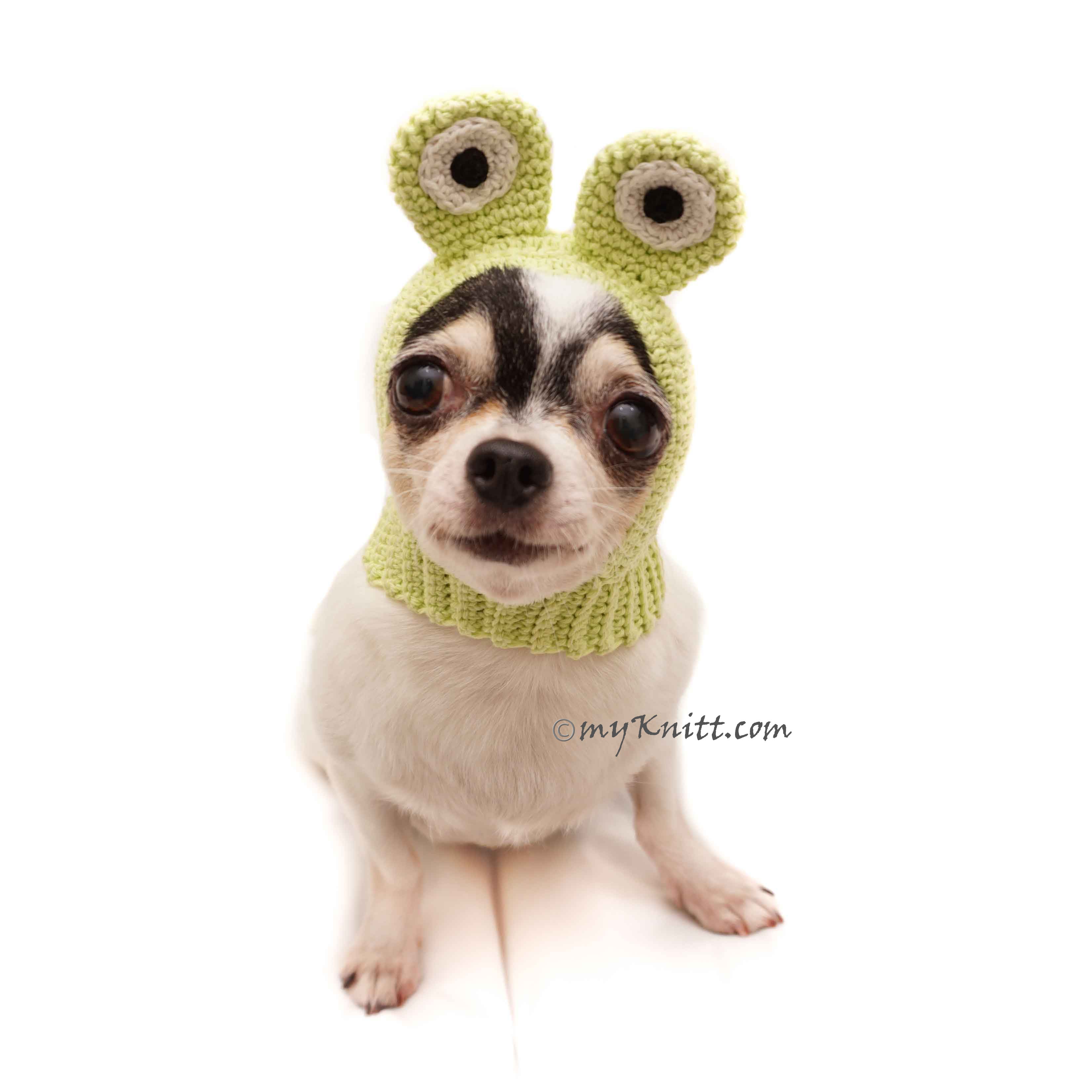 Frog Dog Hats Funny Cat Hat Crochet Dog Hat DB5 by Myknitt