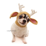 Reindeer Dog Hat, Cat Hats, Cat Halloween Costumes by Myknitt