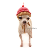 Cupcake Dog Hat Crochet, Funny Dog Costume DB9 by Myknitt