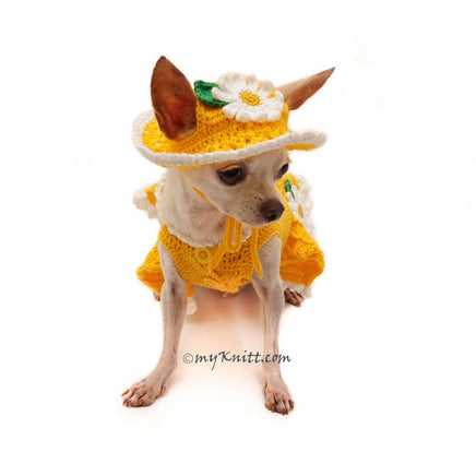 Cute Flower Dog Dress with Matching Sun Hat in Bright Yellow Color DF103 by Myknitt (1)