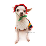 Cute Dog Clothes with Dog Hats by Myknitt 