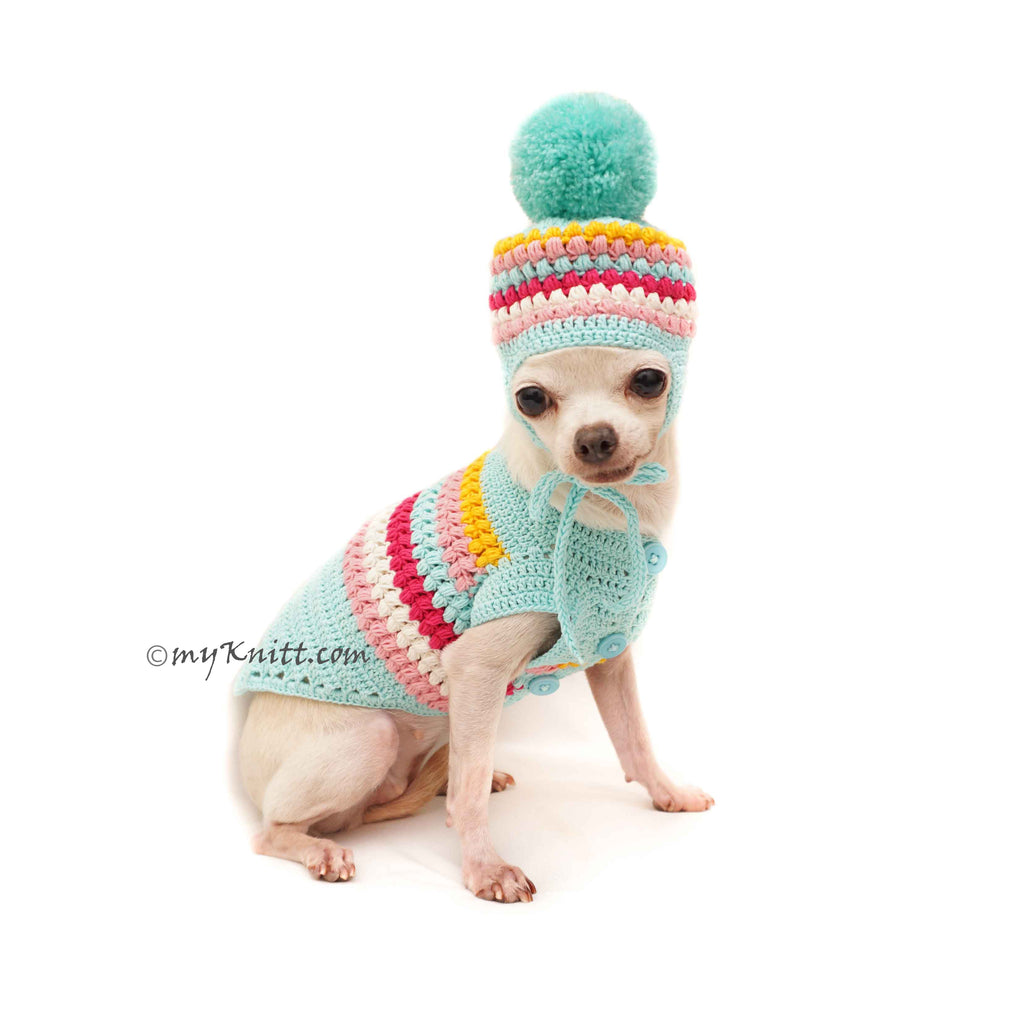 Teal Dog Sweater Knit Dog Hat , Cute Dog Clothes DF124