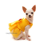 Myknitt Designer Dog Clothes, Personalized Dog Clothes