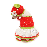 Strawberry Shortcake Dog Dress Crochet by Myknitt