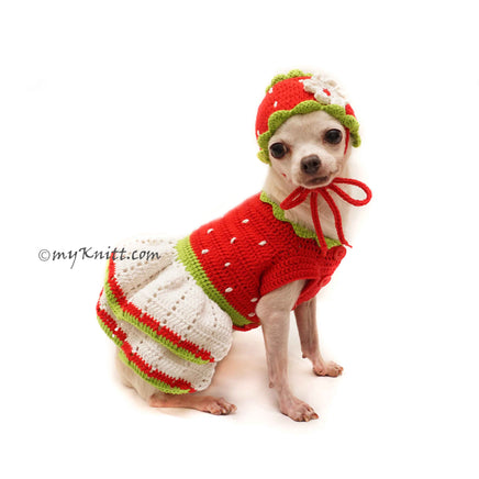 Handmade Dog Clothes Crochet by Myknitt, Cute Dog Clothes Designer