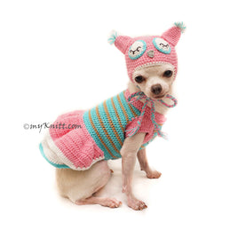 Owl Pet Costume Crochet, Owl Dog Hat Crochet, Funny Dog Costume DF129
