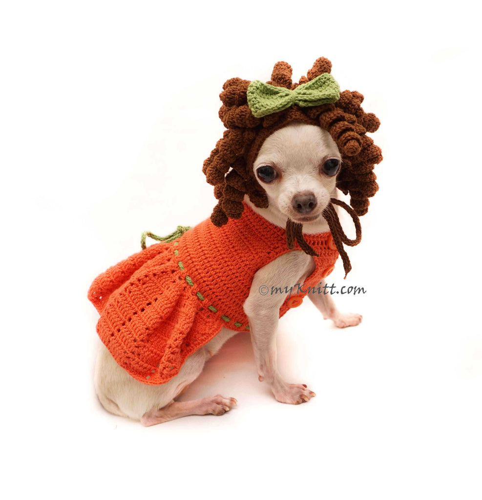 Princess Merida Dog Costume, Princess Merida Dog Dress, Merida Dog Wig Crochet DF131