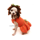 Princess Merida Dog Costume with Crochet Dog hat by Myknitt