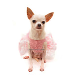 Chihuahua Wedding Dress Tutu by Myknitt Designer Dog Clothes