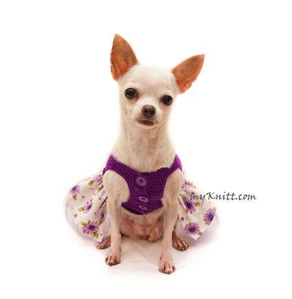 Cute Chihuahua Dress Model by Myknitt 