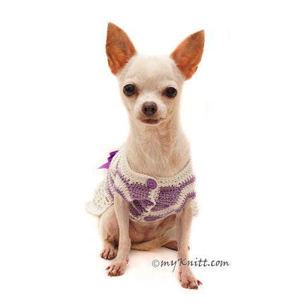 Cute Chihuahua Clothes DIY by Myknitt