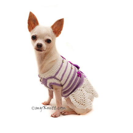 Custom Tiny Chihuahua Clothes by Myknitt