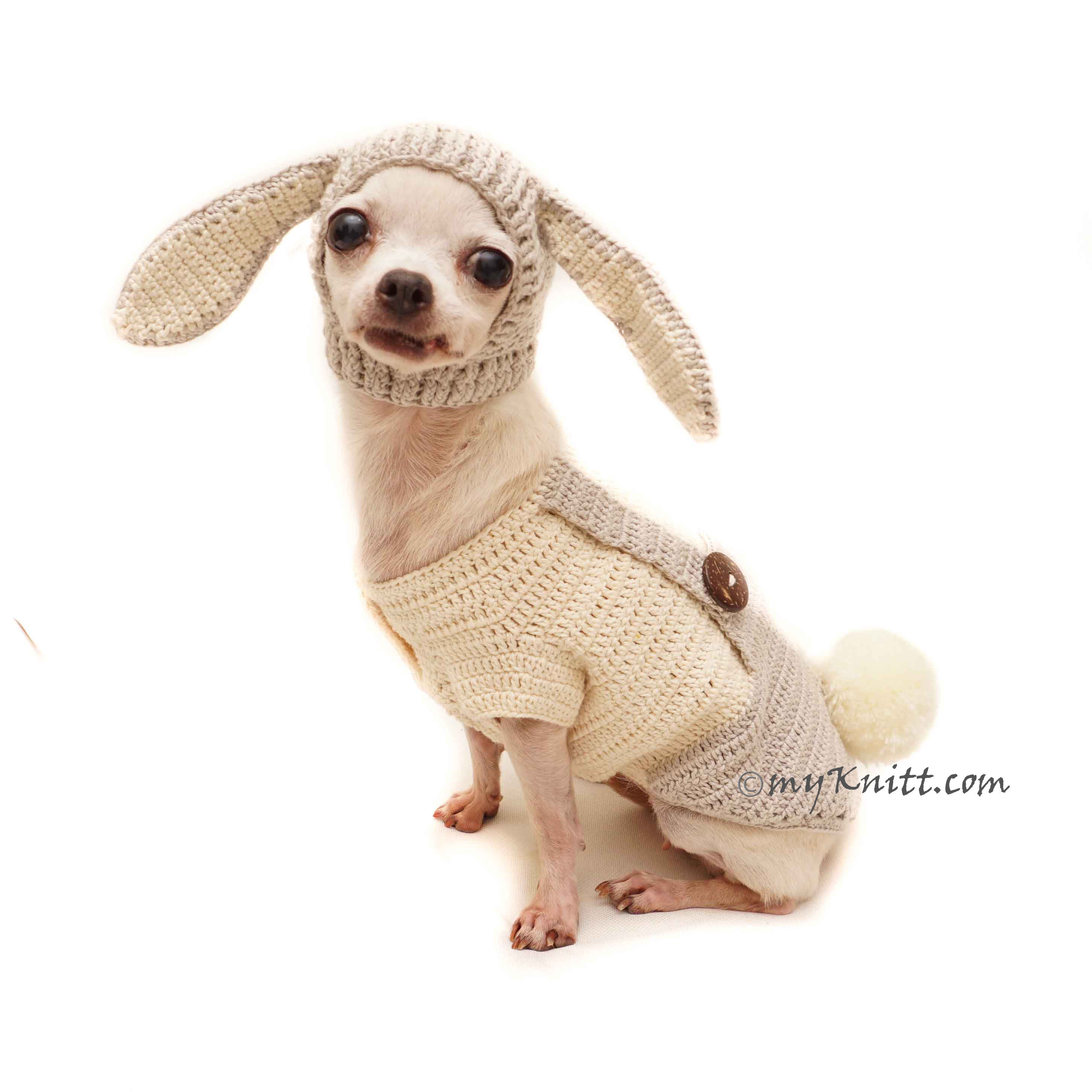 Bunny Dog Costume Crochet, Bunny Dog Hat Crochet, Peter Rabbit Pet Costume DF152 Myknitt