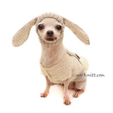 Rabbit Dog Hat Crochet, Rabbit Ears Dog Snood by Myknitt