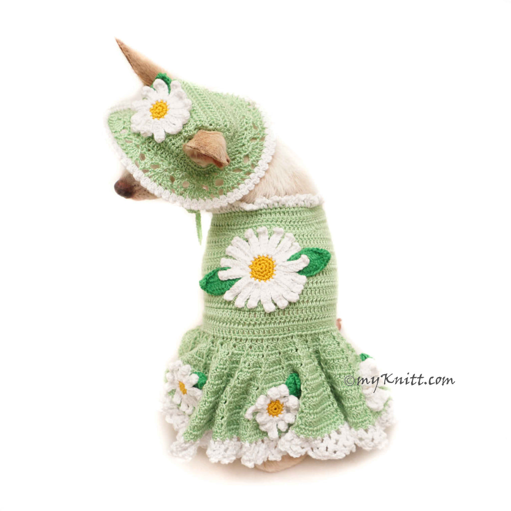 Mint Green Dog Dress Summer Flower, Mint Green Dog Sun Hat Crochet DF157 by Myknitt